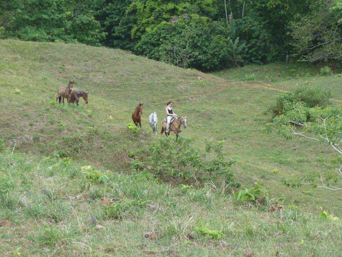 El Regalo Lodge